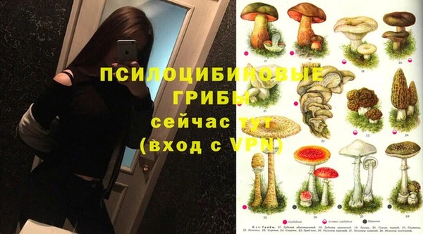 МДПВ Осташков