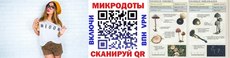 Псилоцибиновые грибы Magic Shrooms это как зайти Фрязино
