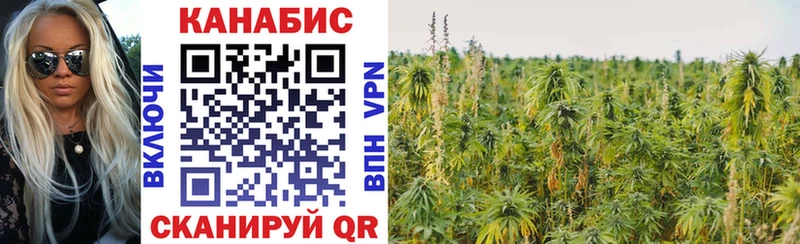 магазин продажи наркотиков  Фрязино  Бошки Шишки SATIVA & INDICA 